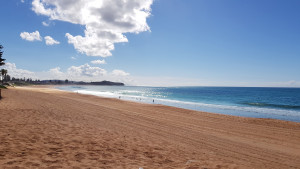 North Narrabeen from The Coachhouse
